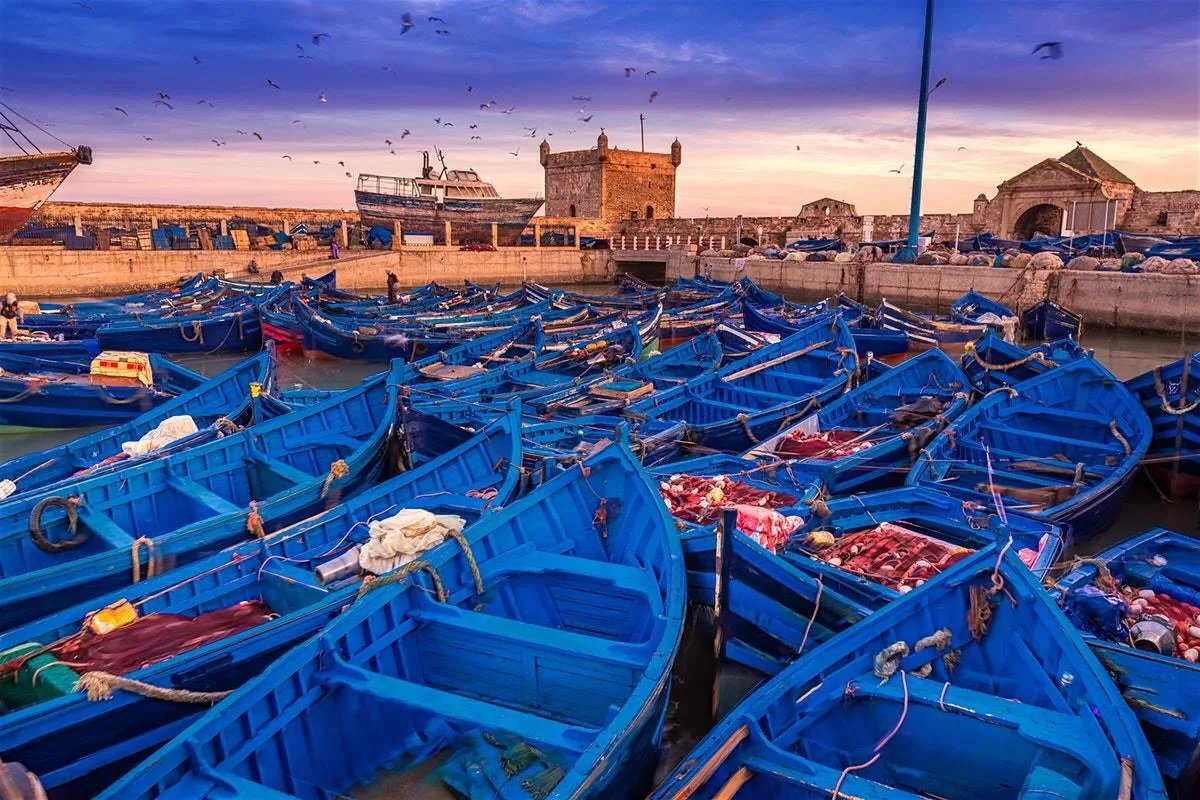 Fishing port and boats in Essaouira