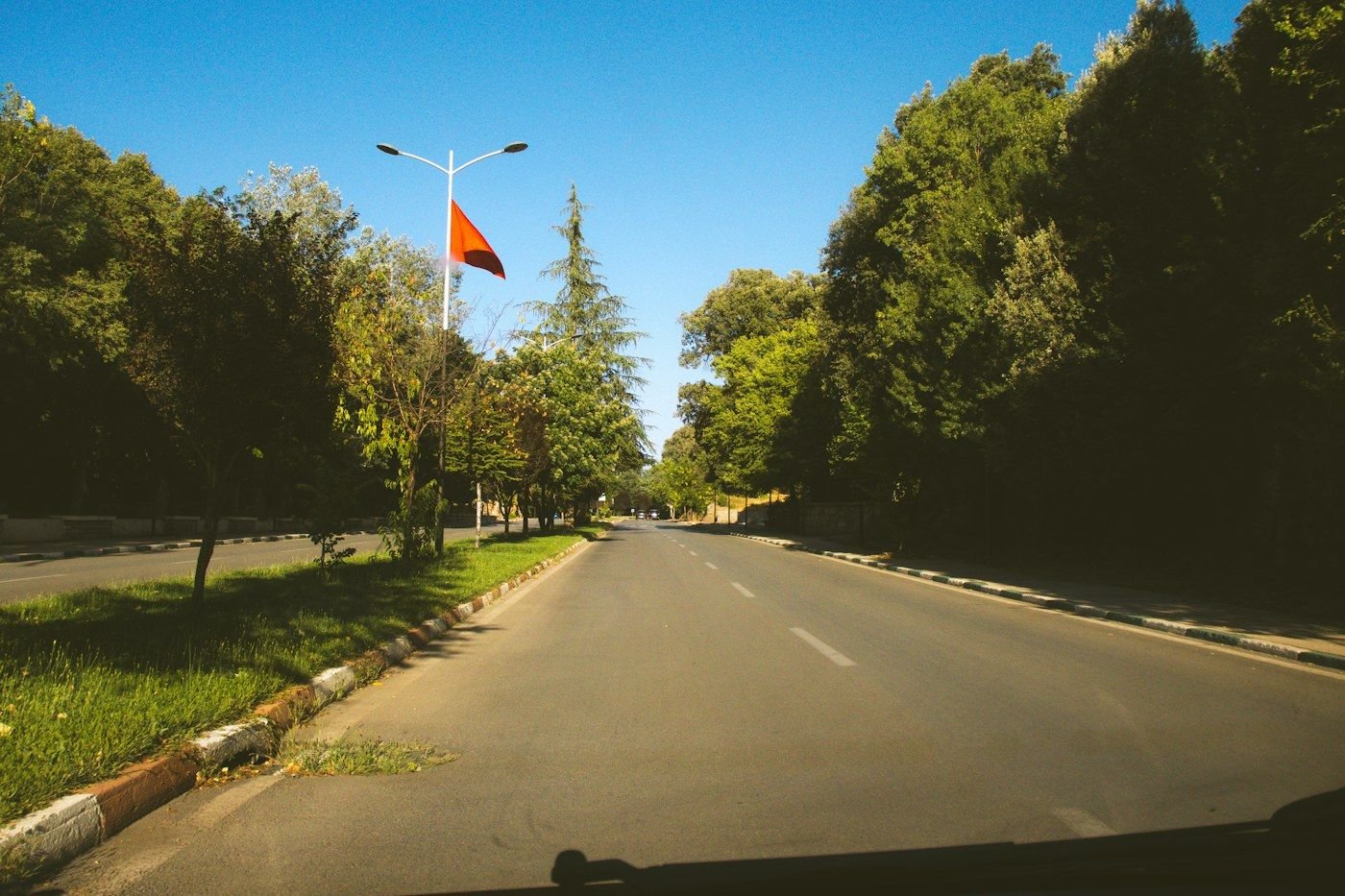 Tree-lined road in Ifrane