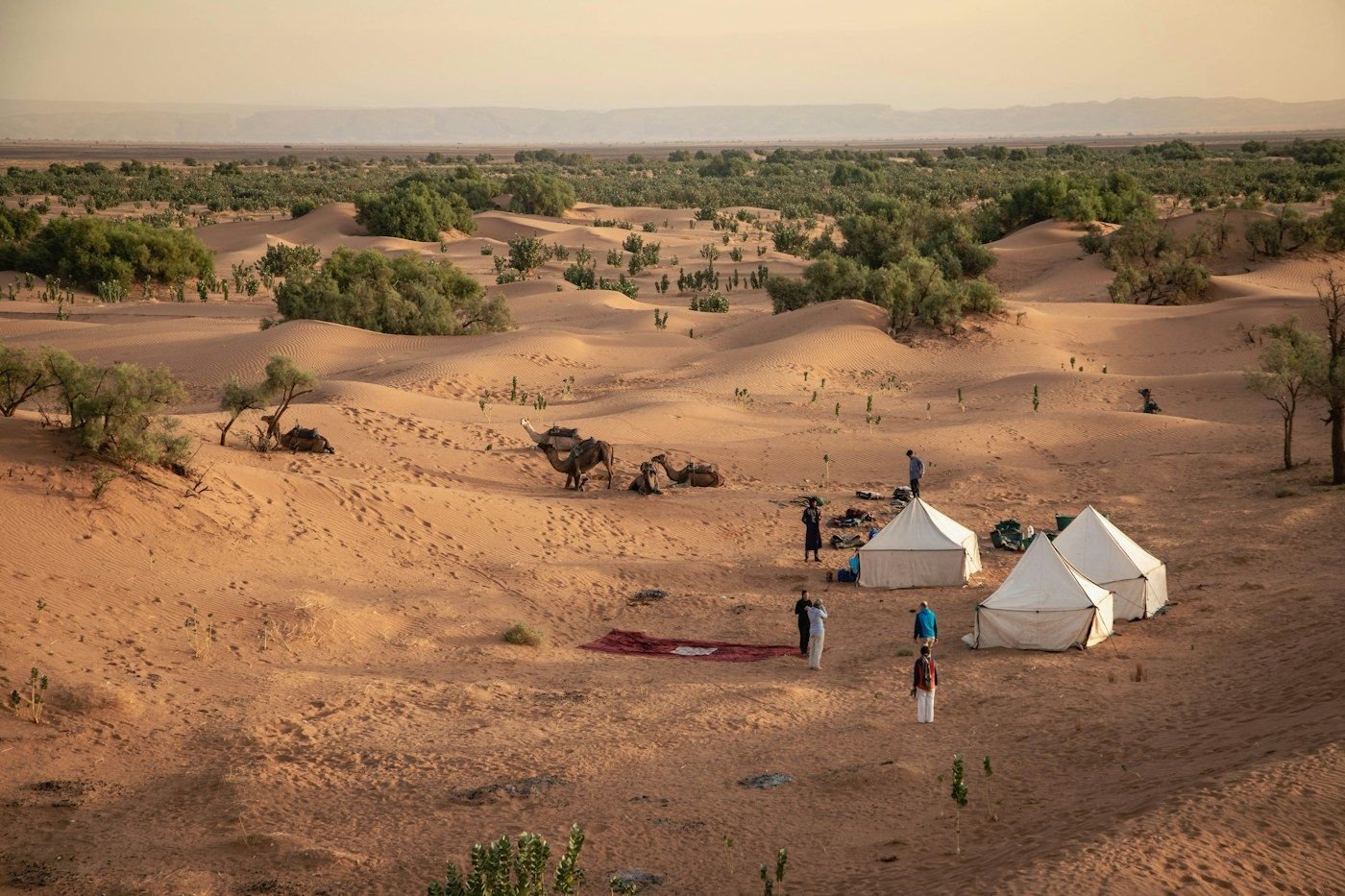 Desert campsite in M’Hamid