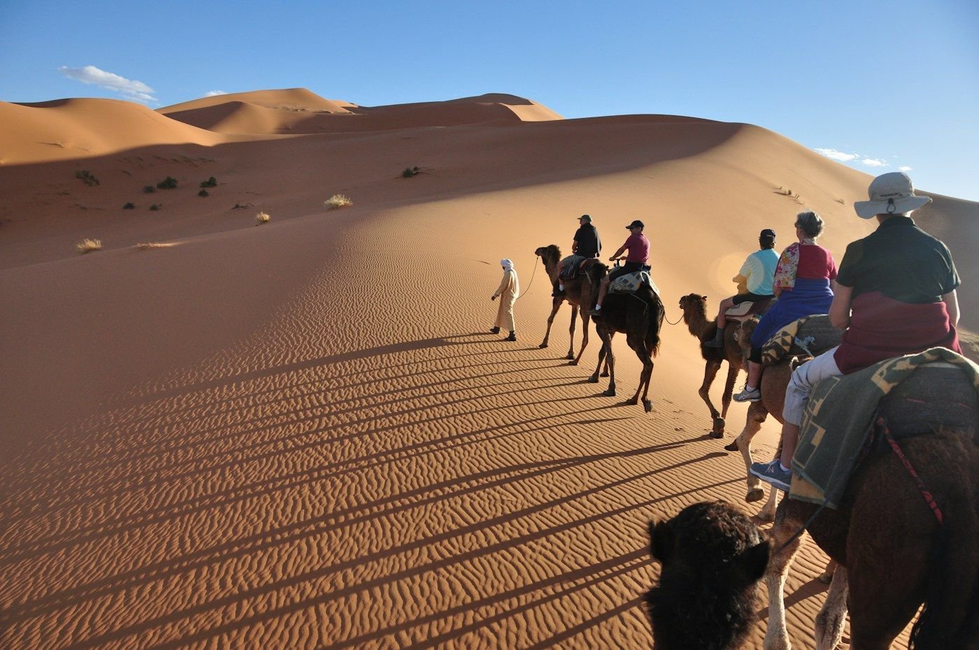 Camel ride across the dunes