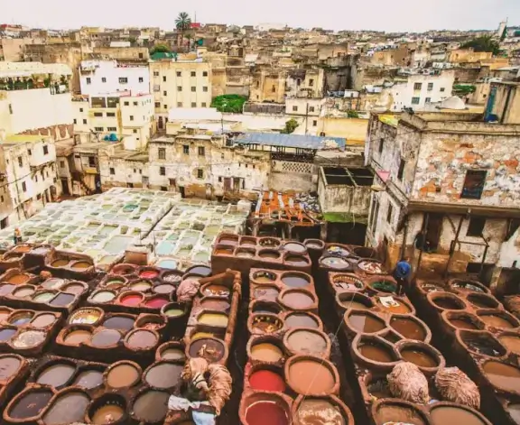 Guided Tour of Fes Medina