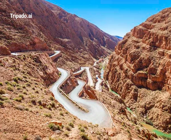 From the Desert to Dades Valley