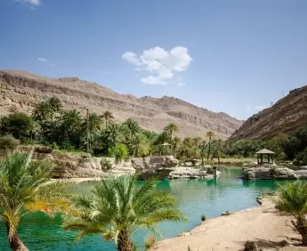 Nearby Palm Grove